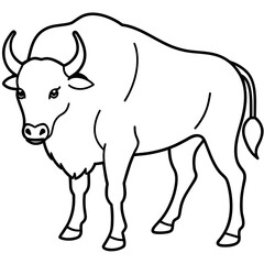 black and white illustration of a bison 