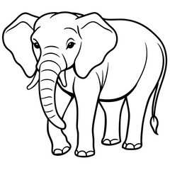 African elephant isolated on white background