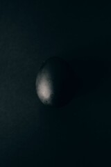 Grayscale view of a egg