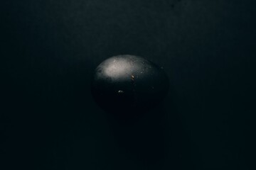 Black egg on a black background