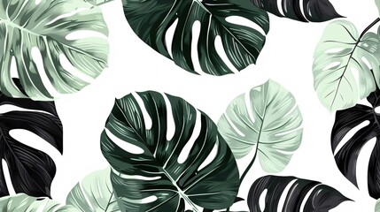Elegant vintage theme with green and white floral design featuring split-leaf Philodendron plant and vines on a white backdrop. - obrazy, fototapety, plakaty