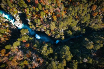Aerial top view of a river flowing through a forest in autumn