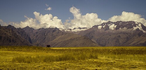 Panoramic view of a green field surrounded by snow-covered mountains