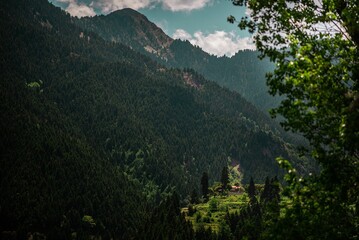 Image of green covered mountains and a forest with beautiful sky during daytime