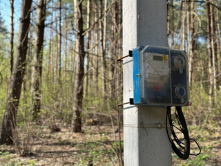 Electrical distribution panel in the middle of the forest. Electric meter on a pole in the forest. Electrification in new areas.
