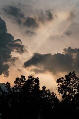 Silhouette of trees in background of cloudy sky during sunset