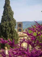Italia, Toscana, Firenze,  il giardino della Villa Bardini e panorama su Firenze. - obrazy, fototapety, plakaty