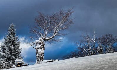 Countryside landscape in winter with snow capped small house, trees on mountainside under cloudy sky