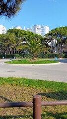 Obraz premium Palm tree in the middle of a roundabout. Surrounding the roundabout are towering buildings and lush trees, adding depth and dimension to the scene.
