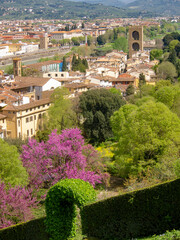 Italia, Toscana, Firenze,  il giardino della Villa Bardini e panorama su Firenze. - 783665779