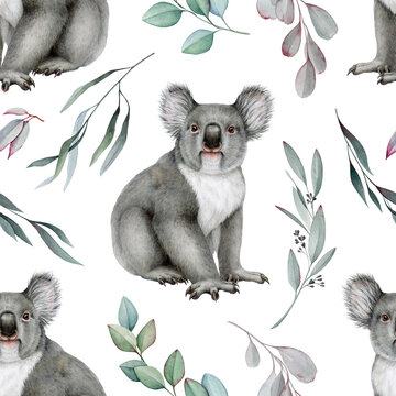 Koala with eucalyptus branch seamless pattern. Watercolor illustration. Australia native wildlife animal. Cute koala bear with eucalyptus tree twigs element seamless pattern. White background