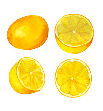 Lemon, watercolor hand painted set, isolated on white background. Decoration for kitchen, for restaurant menus, recipes, plates and dishes design