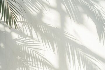 White wall with tropical palm leaf shadow. Beautiful abstract background concept banner for summer...