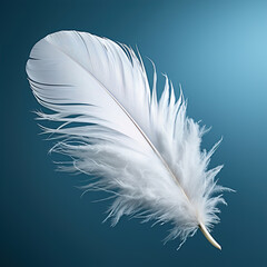 A white feather on a blue background. Isolated cutout.