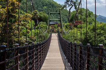 View of the suspension bridge in the valley