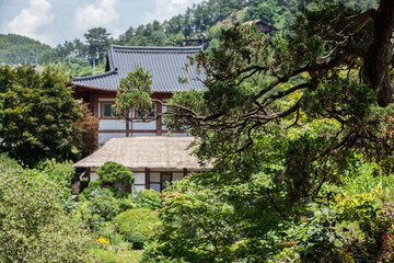 Fototapeta na wymiar View of the traditional Korean buildings in the park