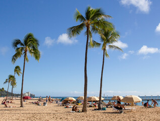 tree on the beach