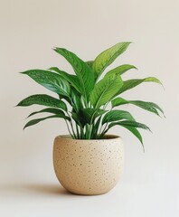 Photo of a Peace Lily in an elegant speckled beige pot isolated on the white background - AI Generated Digital Art