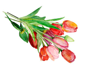 Red tulips pattern. Image on a white and colored background. - 783676137