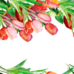 Red tulips seamless pattern. Image on a white and colored background. - 783676170