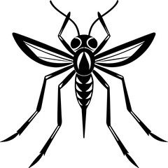 mosquito illustration