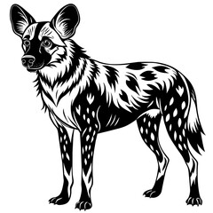 african wolf isolated