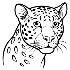leopard vector illustration