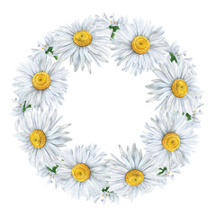 chamomile blooming flowers border wreath. Watercolour flower round decor hand drawn illustration. Seasonal. Painted botanical floral elements. Isolated background. Greeting cards