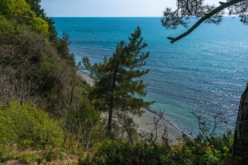 Black Sea pebble beach near a mountain with a pine tree on a sunny spring day