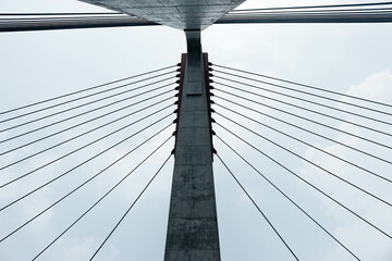 Nhat Tan Bridge