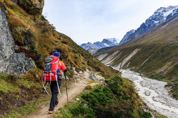 Sherpa guide on the Kanchenjunga Base Camp Trek between Khambachen (aka Khangpachen or Kambachen) and Lhonak in the Himalaya Mountains, Nepal - 783681310