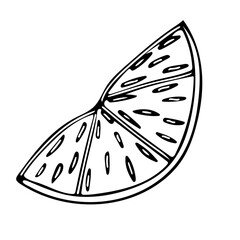 Semicircular slice of lemon or lime. Citrus fruit. Healthy, natural ingredient for refreshing cocktails, mojitos. Sour lemon for cooking.Hand drawing black line doodle vector illustration.On white.
