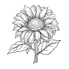 Hand Drawing style of sun flower vector.
It is suitable for flower or plant icon, sign or symbol.