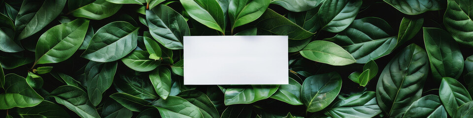 Lush Green Leaves Background with Blank White Card for Eco-friendly Concept
