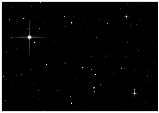 星 Star Sparkle イラストレーター