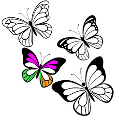 butterflies and flying in beauty - Vector - Vector art - Vector illustration - Vector design - Latest Vector - Ultimate Vector - Premium Vector - Vector pro