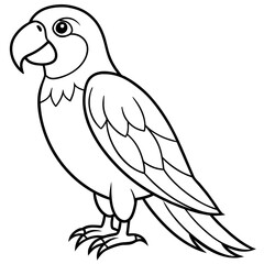 White background illustration of a adorable parrot - Vector - Vector art - Vector illustration - Vector design - Latest Vector - Ultimate Vector - Premium Vector - Vector pro