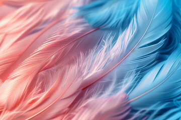 Fototapeta na wymiar Vibrant Blue and Pink Feathers Texture Background