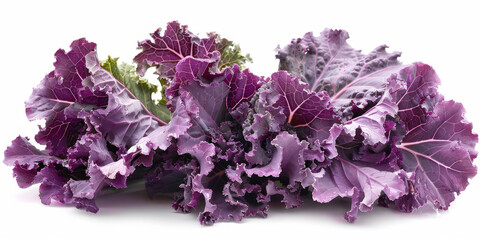 Fresh Organic Purple Kale Isolated on White Background
