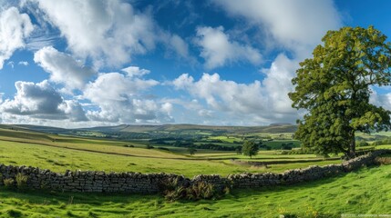 Fototapeta na wymiar Wide panoramic view of beautiful rural landscape in Yorkshire Dales near Hawes