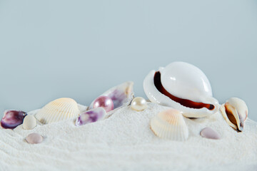 Seashells and pearls on the sand. - 783703903