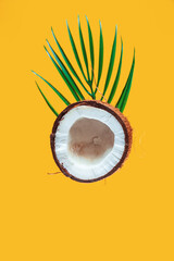 Broken coconut and palm leaf on a yellow background. - 783703961