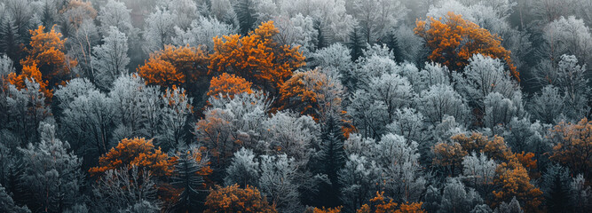 Scenic autumn forest landscape with contrasting foliage colors. Landscape background design