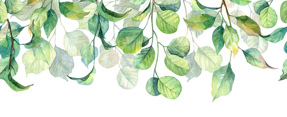 Long seamless banner with hanging leaves. Watercolor hand painted realistic botany header design - obrazy, fototapety, plakaty