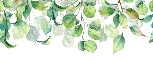 Foto op Canvas Long seamless banner with hanging leaves. Watercolor hand painted realistic botany header design © Daria Doroshchuk
