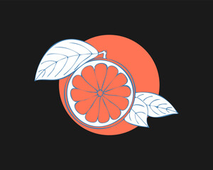 Grapefruit stilyzed hand drawing sketch on color circle, dark background. Label, emblem, logo, icon.