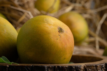 Mango heap in wood basket carrying by a orchard farmer with green leaf background.