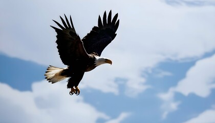 Obraz premium Eagle-in-the-sky