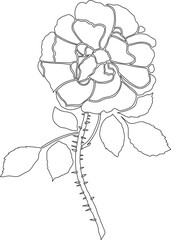 Floral hand draw 4 outline