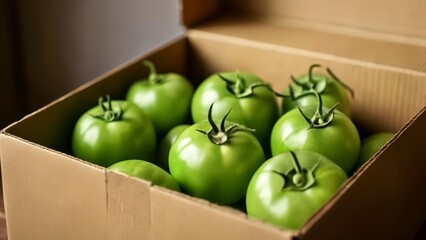  Fresh vibrant green tomatoes in a box ready for culinary adventures